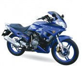 2009 Lifan LF200 GS Sport photo